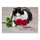 赤いバラを持つかわいい猫 (正面横)