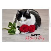 赤いバラを持つかわいい猫 (正面横)