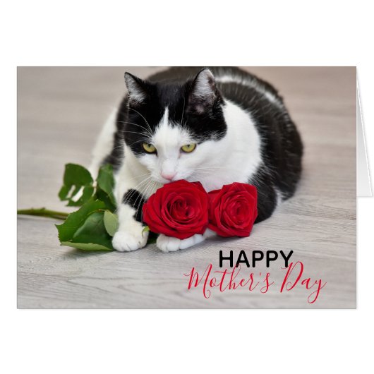 赤いバラを持つかわいい猫 (正面横)