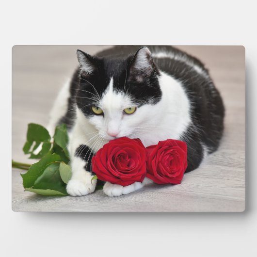 赤いバラを持つかわいい猫 フォトプラーク (正面)