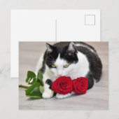 赤いバラを持つかわいい猫 ポストカード (正面/裏面)