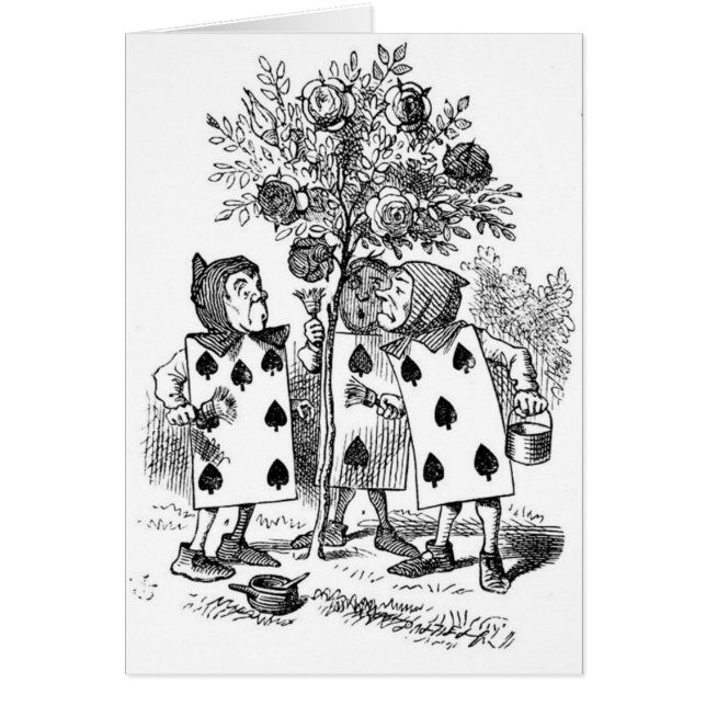 赤いバラを絵を描きます (正面)