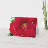 赤いバラ及びVarigatedのHostA カード (裏面)