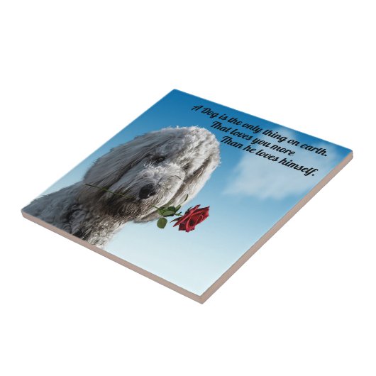 赤いバラ犬の引用文の白いpoddle犬の子犬 タイル (側面)