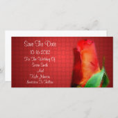 赤いバラ芽結婚の花 セーブザデート (正面/裏面)