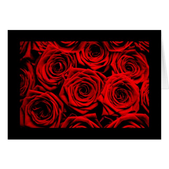 赤いバラ (正面横)