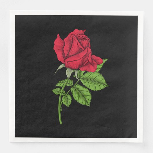 赤いバラ (正面)