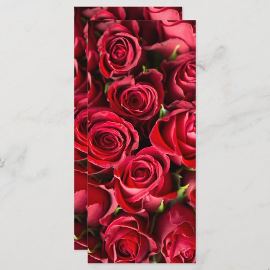 赤いバラ (正面/裏面)