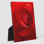 赤いバラ、アメリカの美しさ フォトプラーク (側面)