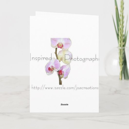 赤いバラ カード (裏面)