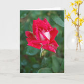 赤いバラ カード (黄色い花)