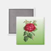 赤いバラ（グラデーションカラー） マグネット (正面/裏面)