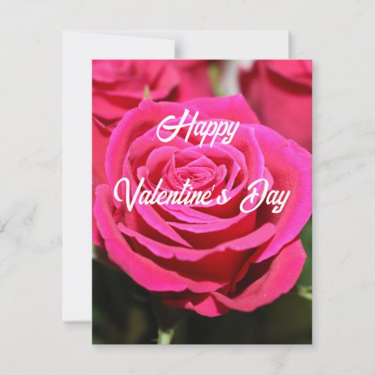 赤いバラ シーズンカード (正面)