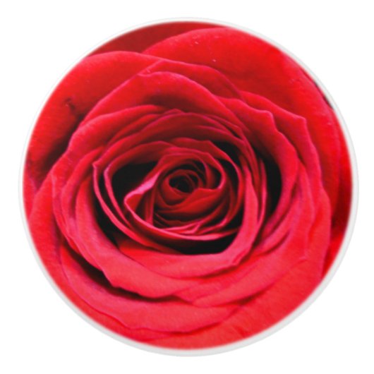 赤いバラ セラミックノブ (正面)