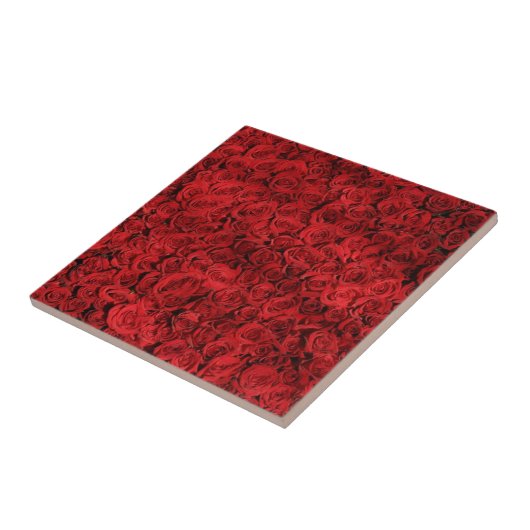 赤いバラ タイル (側面)
