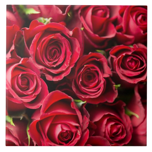 赤いバラ タイル (正面)