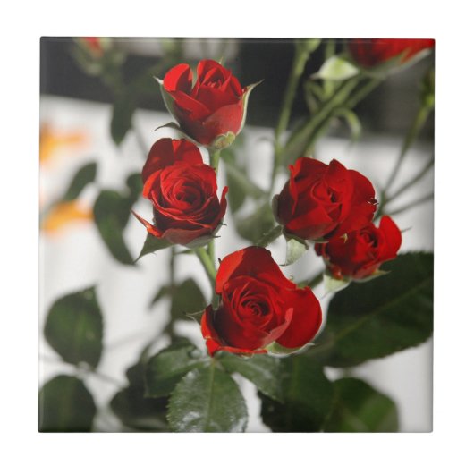 赤いバラ タイル (正面)