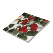 赤いバラ タイル (側面)