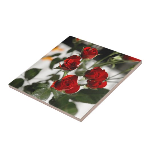 赤いバラ タイル (側面)