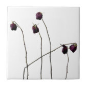 赤いバラ タイル (正面)