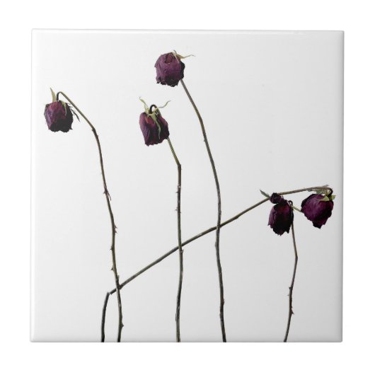 赤いバラ タイル (正面)