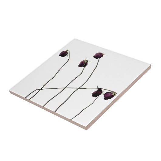 赤いバラ タイル (側面)