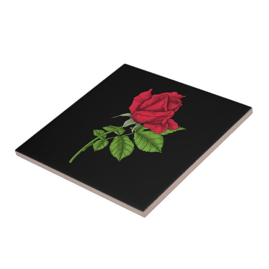 赤いバラ タイル (側面)