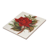 赤いバラ タイル (側面)