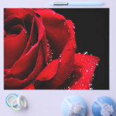 赤いバラ チラシ (シングル)