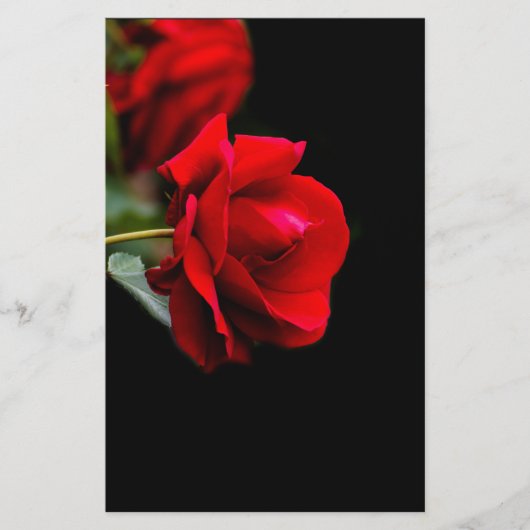 赤いバラ チラシ (正面)