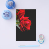 赤いバラ チラシ (シングル)