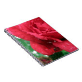 赤いバラ ノートブック (右側)