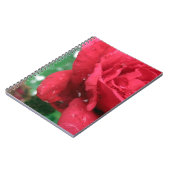 赤いバラ ノートブック (左側)