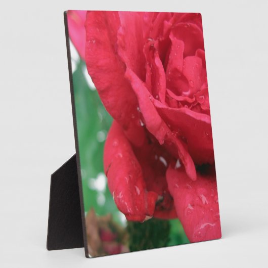 赤いバラ フォトプラーク (側面)