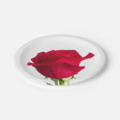 赤いバラ ペーパープレート (アングル)