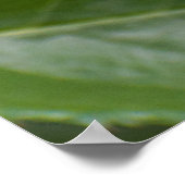 赤いバラ ポスター (角)