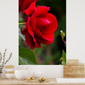 赤いバラ ポスター (キッチン)