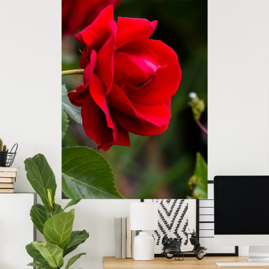 赤いバラ ポスター (ホームオフィス)
