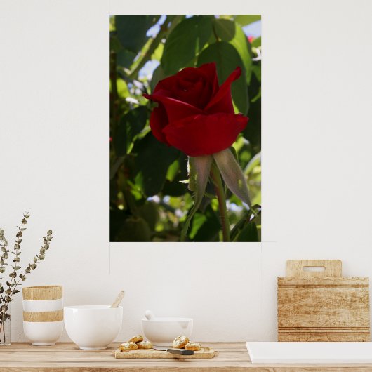 赤いバラ ポスター (キッチン)