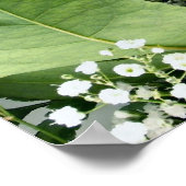 赤いバラ ポスター (角)