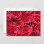 赤いバラ ポストカード (正面/裏面)