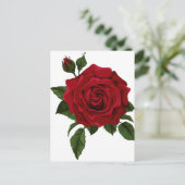 赤いバラ ポストカード (スタンド正面)
