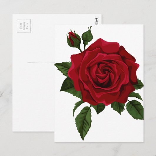 赤いバラ ポストカード (正面/裏面)