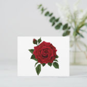 赤いバラ ポストカード (スタンド正面)