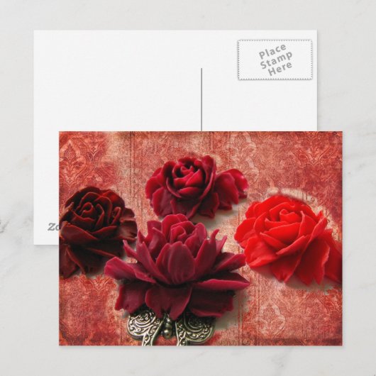 赤いバラ ポストカード (正面/裏面)