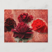 赤いバラ ポストカード (正面)