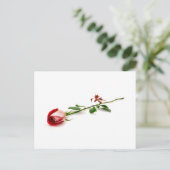 赤いバラ ポストカード (スタンド正面)