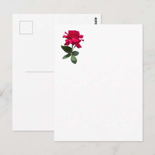 赤いバラ ポストカード (正面/裏面)