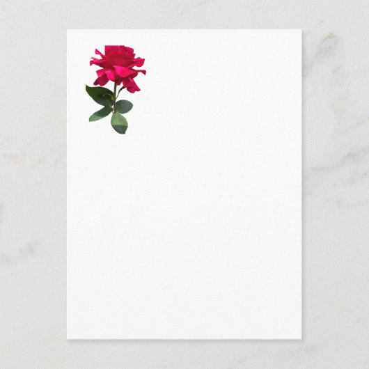 赤いバラ ポストカード (正面)