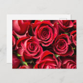 赤いバラ ポストカード (正面/裏面)